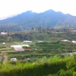 Villa Agape Istana Bunga Lembang