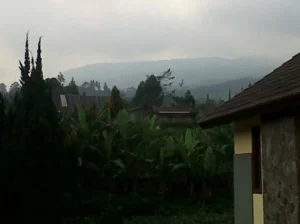 Villa Anggrek J4 Istana Bunga view pegunungan